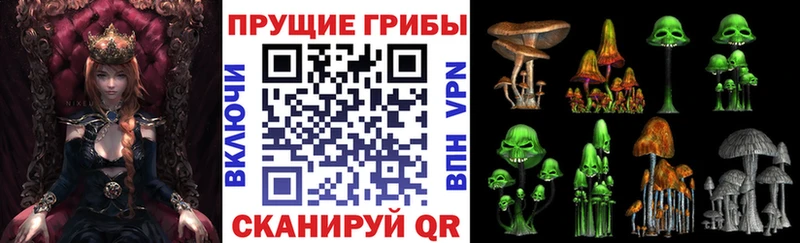 Галлюциногенные грибы MAGIC MUSHROOMS  Ершов 