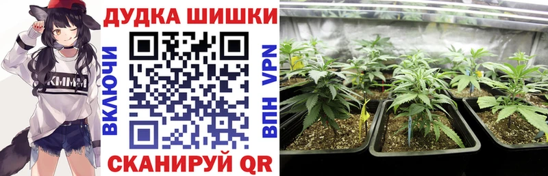 купить закладку  KRAKEN tor  Шишки марихуана Ganja  Ершов 